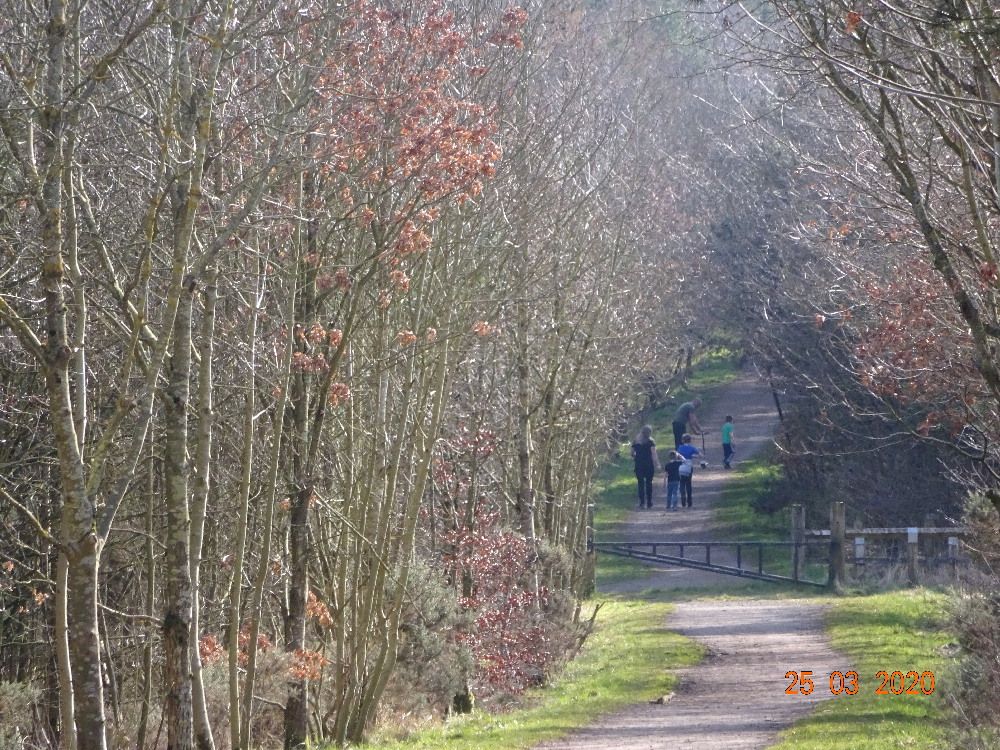 Deerness Valley walk